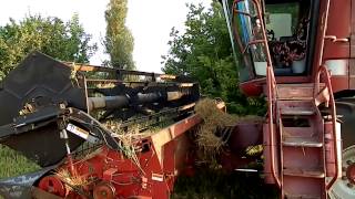 Case IH 2166 AXIAL-FLOW, harvest 2012