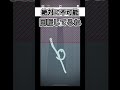 これは原理的に不可能な見た目をしているんだけどこれのクリア方法はどうしたらいいの？【shatterbrain】#shorts