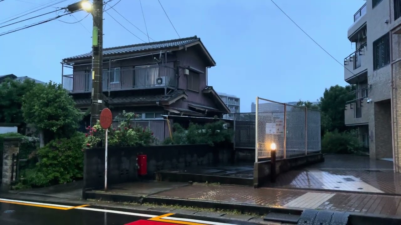 Japan Sunrise Morning Rain Walk 2026.05.01 ASMR Ambience Sound Sleep Meditate Relax Peace Tokyo