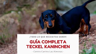 Criadero de Teckel, ¡Guía Completa! | Centro Canino Las Almenas