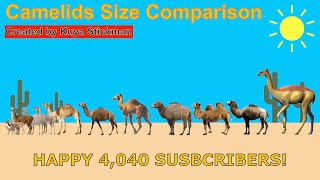 Camelids Size Comparison (HAPPY 4,040 SUBSCRIBERS!)