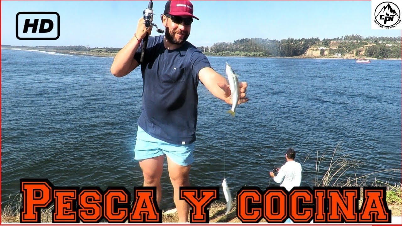 pesca de pejerrey de mar, chile 2022|Chile sea silverside fishing 2022