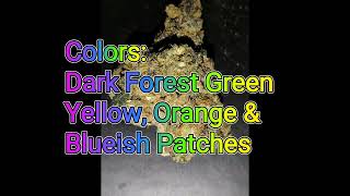 Blue Biscotti(80/20IH) Strain  Review-Budpedia
