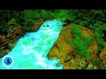 🌎 Natural Creek Water Sound for Relaxation | 8 hours