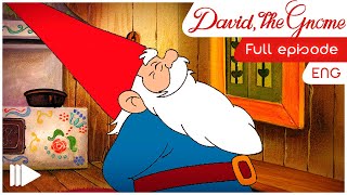 DAVID THE GNOME (English) - 19 - THE STONE WITHOUT SADOW | Full Episode