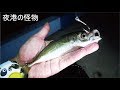 漁港の夜釣りでアジを泳がせたら！化け物が喰ってきた