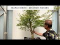 Maple Series - Part IV - Decision Making