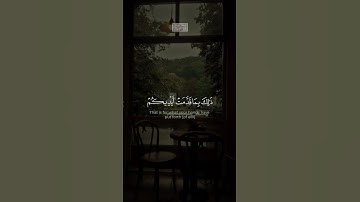 {ذَ ٰلِكَ بِمَا قَدَّمَتۡ أَیۡدِیكُمۡ وَأَنَّ ٱللَّهَ} | محمد صديق المنشاوي | سورة الأنفال.