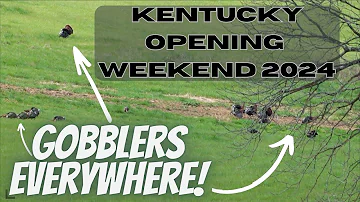 Kentucky Turkey Hunting! Opening Weekend 2024 - GOBBLERS EVERYWHERE!!!