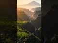 Visual Therapy for a Busy Mind #cinematicnature #relaxing #healingvisuals #nature #natureshorts