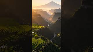 Visual Therapy for a Busy Mind #cinematicnature #relaxing #healingvisuals #nature #natureshorts