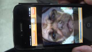Amazing app for android and iphone: dog changes to human screenshot 5