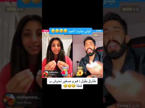 لايف طارق وليلى طارق تحرش بقطة هو وصغير وليلى جابت العيد