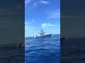 The big one on the team, what do you think of center console boats? #finhunters #finhuntersgear #...