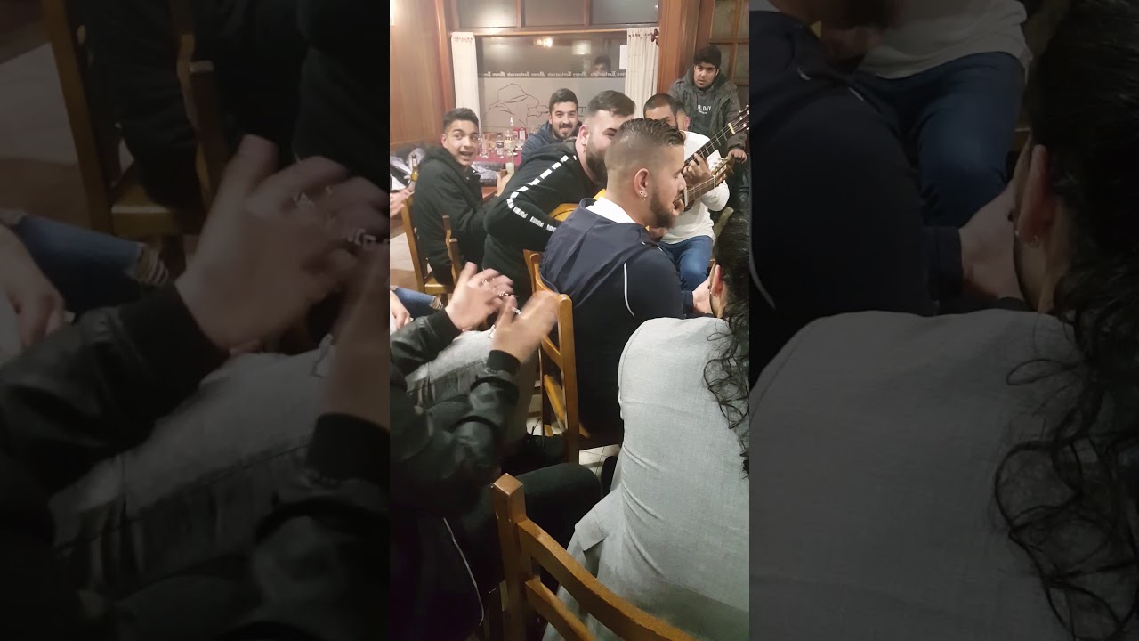 Titi de alicante y morocho de ferrol