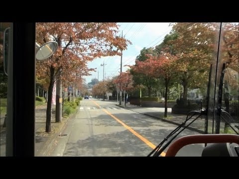 選挙 速報 大阪 12 区