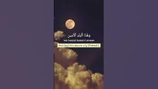 Surah At Tin || 95th Surah || Both Translation and Transliteration || By Ridjaal Ahmed