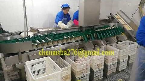 automatic chicken feet weight sorter machine