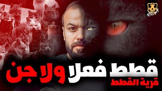 قصة حقيقية حدثت بالفعل في محافظة اسيوط عن قرية القطط / الكهف the cave  / محمد جويلي  /  الموسم الاول