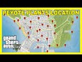 PEYOTE PLANT LOCATIONS MAP - All The Locations of the Peyote plants | GTA 5 ONLINE