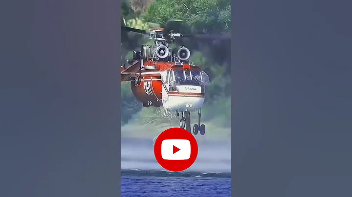 Dangerous Rescue Video | Rescue oppression USA | 4KK Natural