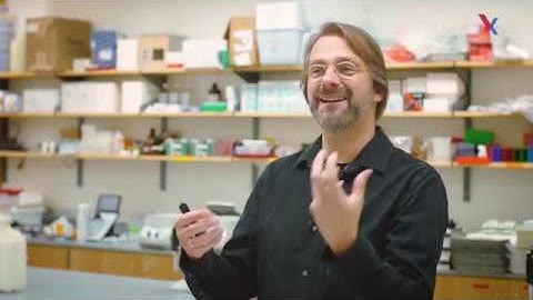 CRISPR: Testing the Quality of Designed Guide RNAs