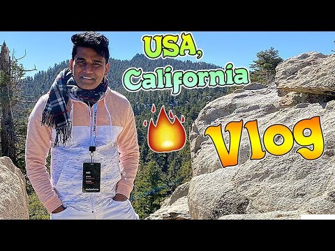 Video: Hvad laver forsikringskommissæren i Californien?