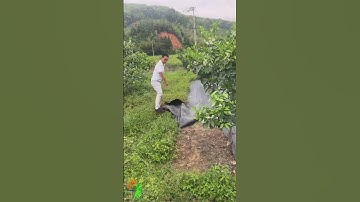 Thế giới vật tư nông nghiệp, Công nghệ nông nghiệp 4.0