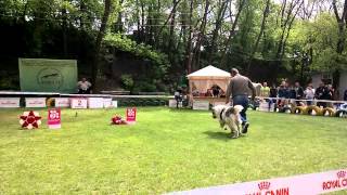 WP 20140509 15 32 28 Pro