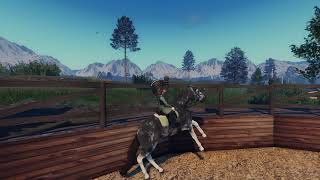 when my horse spooks at his own shadow.lol