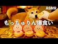 犬用もっちゅりん爆食いする柴犬、可愛すぎて世界救える