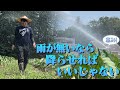 暑すぎて畑が乾いてしまったらこうします【きリイモファーム】