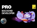 Pro backend developer course