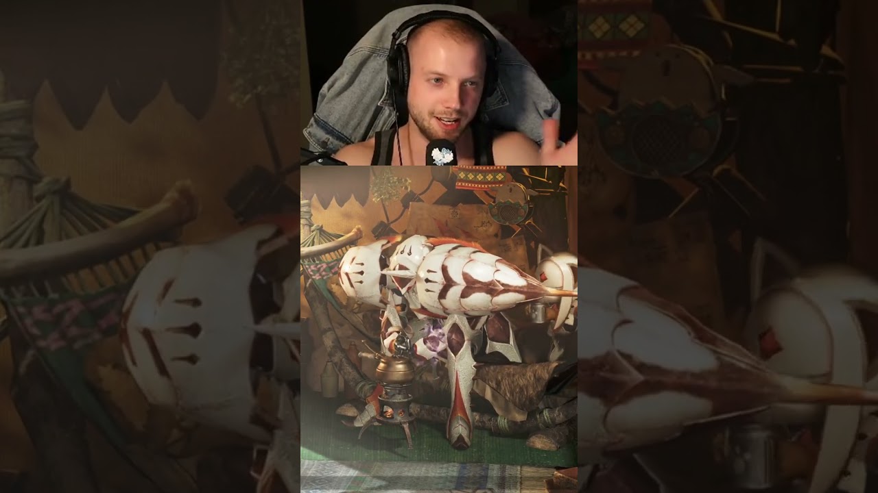 Learning Monster Hunter blind as a new player. | 