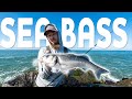Seabass fishing with the Magic Minnow | Westin Fishing
