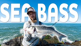 Seabass fishing with the Magic Minnow | Westin Fishing