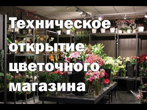 Доклад по теме Открытие цветочного магазина