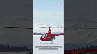 The Role of the Cockpit in Flight Safety  #shorts