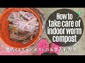 Feed & care of our indoor worm compost ミミズコンポストのお手入れ方法