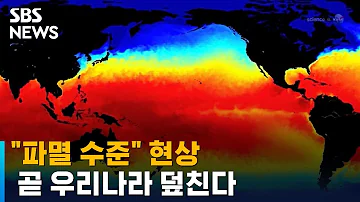 사상 유례없는 지구촌 이상 기후 올여름 제대로 비 폭탄 SBS 뉴블더