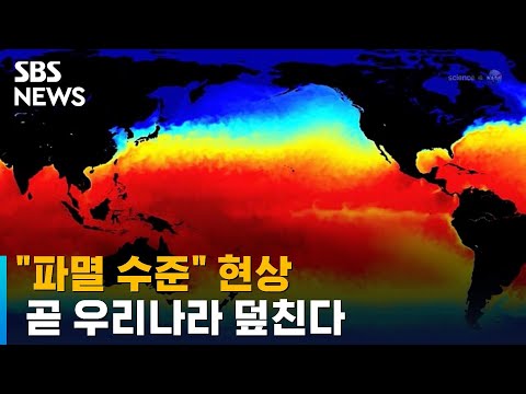 사상 유례없는 지구촌 이상 기후 올여름 제대로 비 폭탄 SBS 뉴블더 