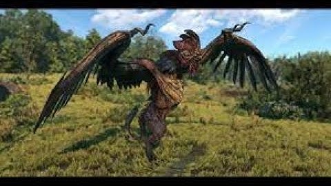 Witcher 3 : Wild Hunt : Witcher contract : Shrieker BossFight Walkthrough