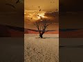 nurture like 🌜🌔 #trending #reels #viral #music #nuturephotography #nuture #nutural