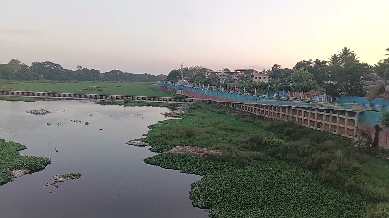 shimoga tunga river | ಶಿವಮೊಗ್ಗದ ಹೊಳೆ ಬಸ್ ನಿಲ್ದಾಣ ಸಮೀಪದ ತುಂಗಾ ನದಿಯ ಚಿತ್ರಣ | (26/6/2026)