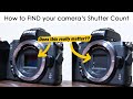 How to find your cameras shutter count and why it matters