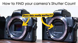 How to FIND your camera's Shutter Count and why it matters
