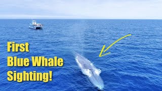 This was our first blue whale sighting of 2020. short drone clip taken
by matt larmand. on eight hour ultimate watching adventure...