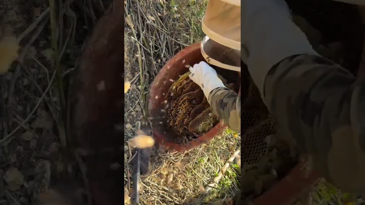 Still you, your chest is breathing, burying the storm