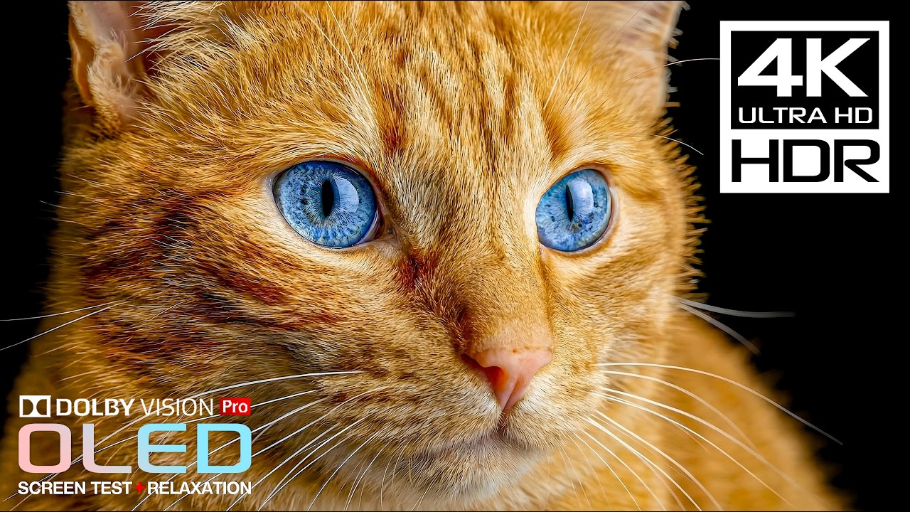 Ultra HDR Showcase in Cinematic 4K Video OLED TEST | Dolby Vision Stress relief music