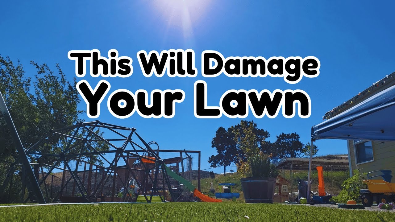 How To Accidentally Kill Your Lawn In Summer (CoolSeason) YouTube